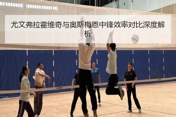 尤文弗拉霍维奇与奥斯梅恩中锋效率对比深度解析